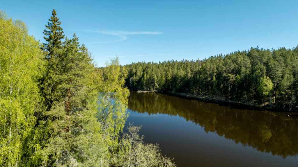 Kuidas ennast tervendada kui keegi teine ei suuda sind aidata?