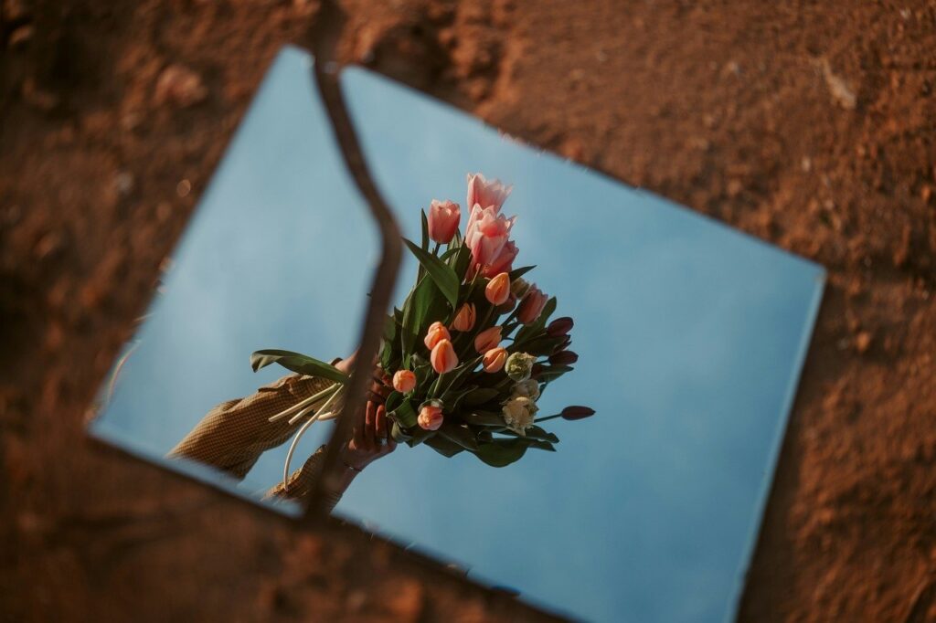 flowers, nature, beautiful flowers, mirror, reflection, reflected, bloom, spring, broken, break, morning, poster, flower background, banner, flower wallpaper, adobe, landscape, mood, culture, equinox, fantasy
