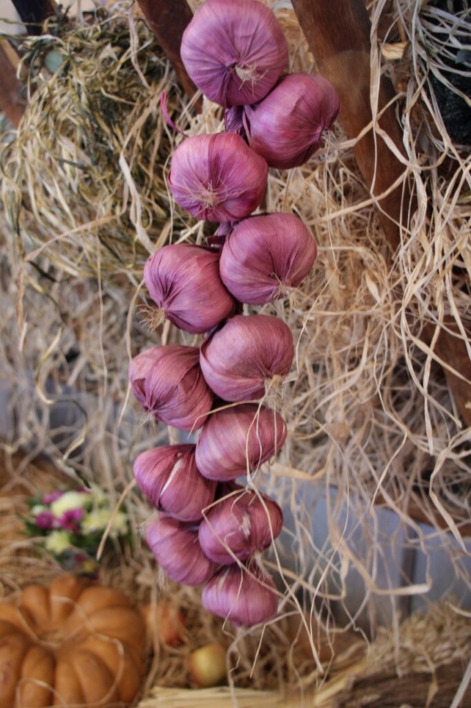 food, onion, garlic, clove, brown onion, onion, onion, onion, onion, onion, garlic, clove