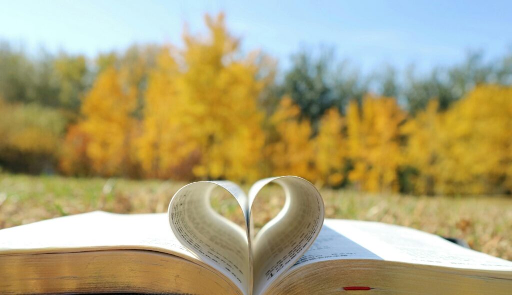 Book pages form a heart shape against an autumnal background in a park.