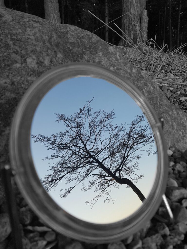 mirror, nature, tree, reflection, quiet, mood, gray mirror