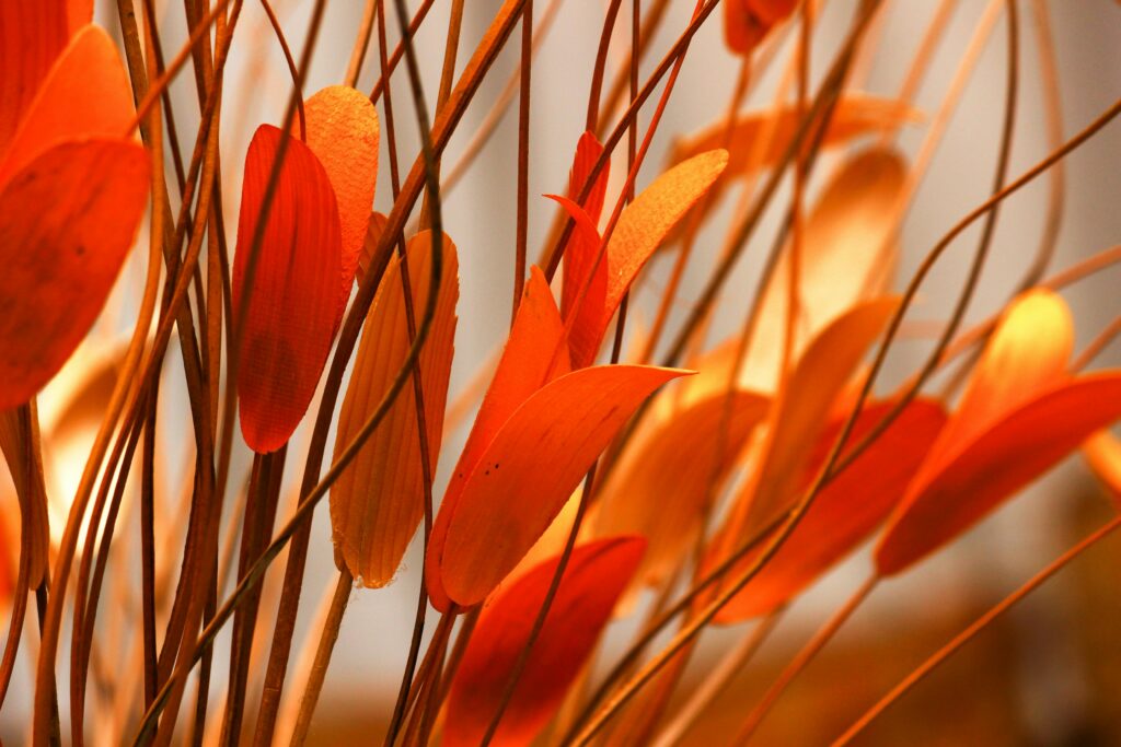 Close-up of orange autumn leaves with a bright, warm glow.
