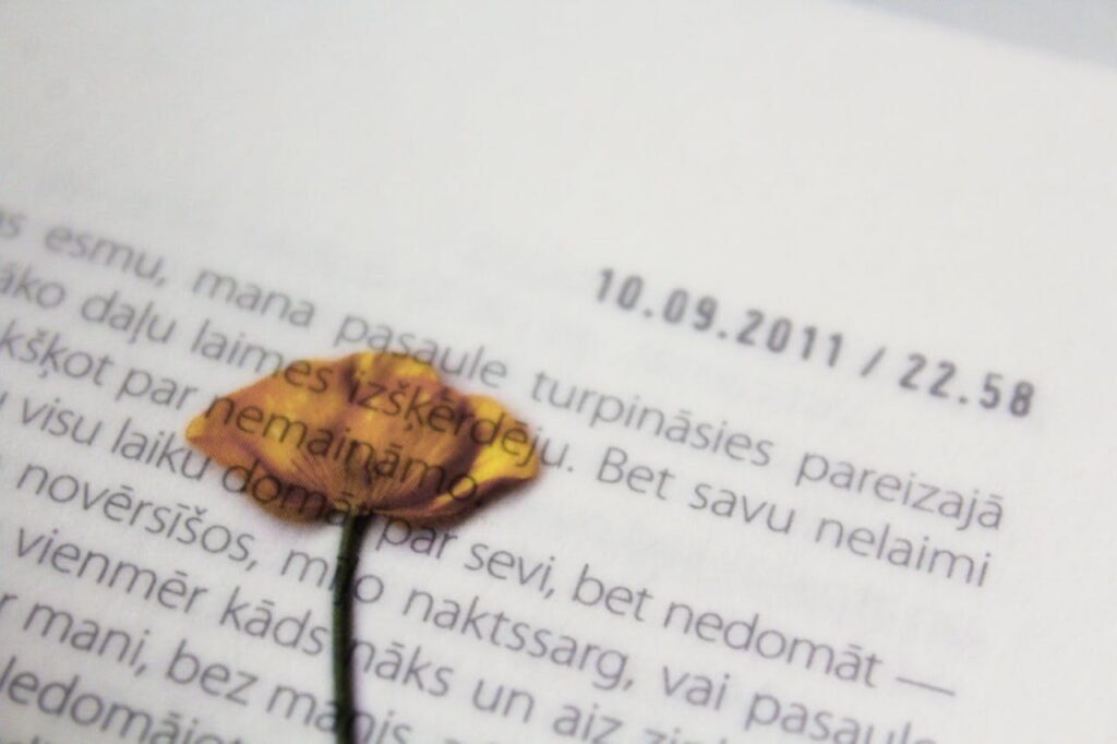 Close-up of a dried flower resting on a book page beside a printed date and time.